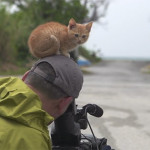 Stray Kitten Adopts Photographer