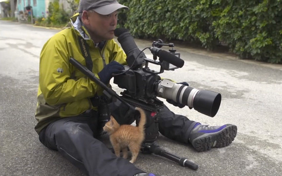 Kitten Loves Photographer