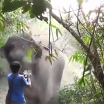 Watch This Photographer Stand Firm Against a Charging Elephant