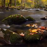 Interesting Photo of the Day: Autumn in Tennessee’s Smoky Mountains