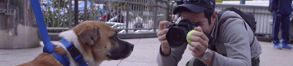 Tips for Photographing Dogs, According to the World’s Most Famous Dog Photographer