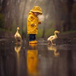 Interesting Photo of the Day: Adorable Toddler and Ducks Enjoy a Rainy Day