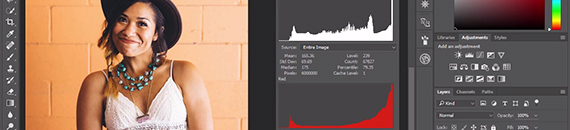 Histograms Explained in 60 Seconds