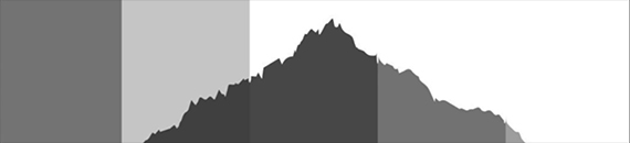 How to Read a Histogram Correctly