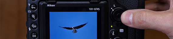 7 Camera Shortcuts for Nikon Photographers