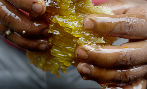 Harvesting honey from honeycomb