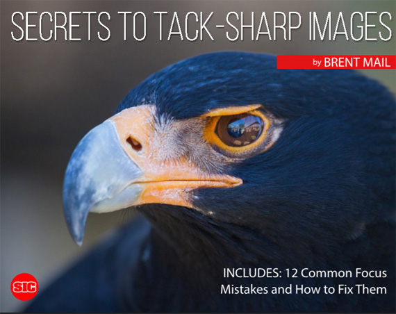 sharp images guide