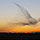 Interesting Photo of the Day: Starlings Form Giant Bird