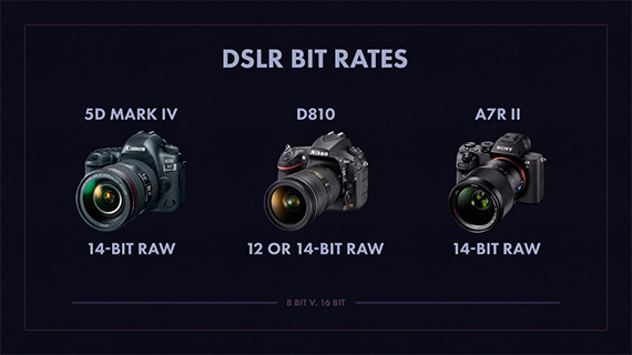 raw vs jpeg