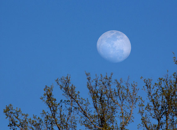 best moon photo tips