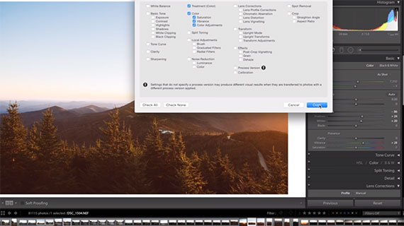 copy settings dialoge box in lightroom