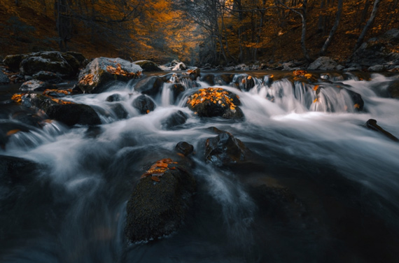 low perspective shot of water stream