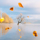 Interesting Photo of the Day: Lake Wanaka Tree Framed By Falling Leaves