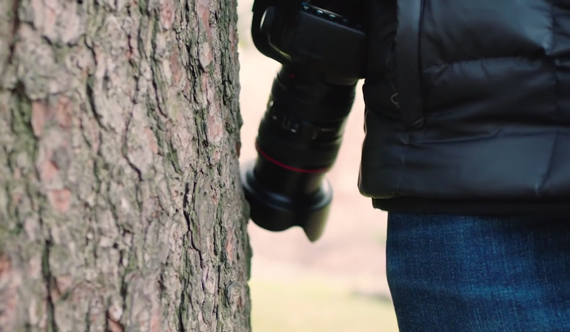 lens hood protects