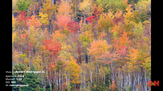 Colorful autumn photo shot wide