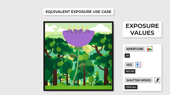 equivalent exposures