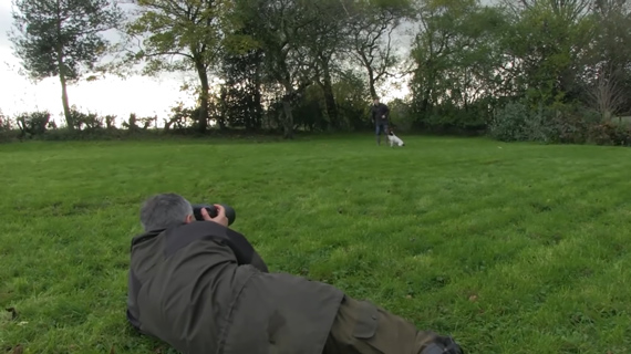 getting down low to photograph dogs