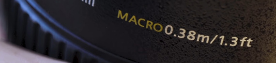 How to Take Macro Photos Without a Macro Lens