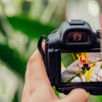 The Eye of a Photographer