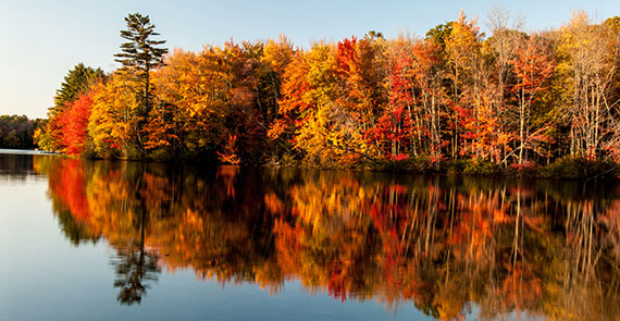 autumn landscape