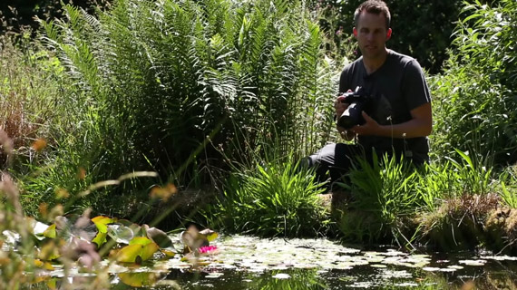 looking for insects nearby wetlands for macro photography