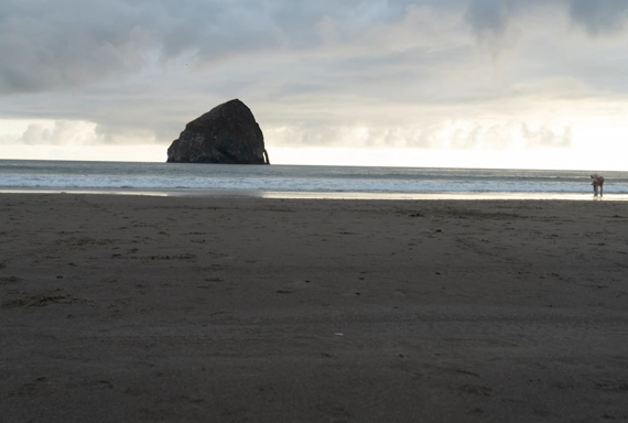 distracting footprints in sandy beach