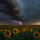 Interesting Photo of the Day: Sunflowers and Lightning