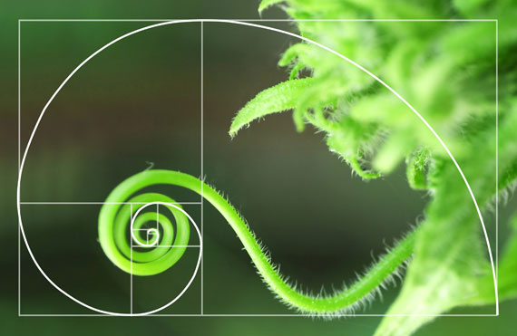 golden ratio