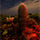 Interesting Photo of the Day: Blood Red Cacti