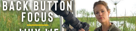 Why Back Button Focus Works Well for Wildlife Photography