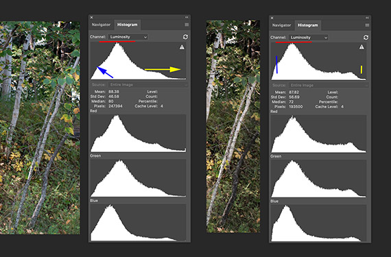 comparing before after histograms