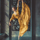 Interesting Photo of the Day: Ballet Dancer in Gold