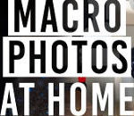 Macro Photography Tips at Home