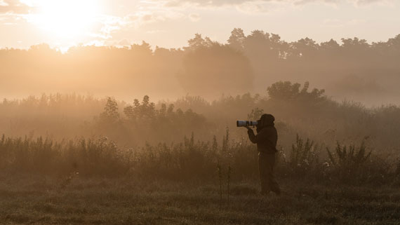 bird photographer