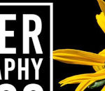 Flower Photography Basics