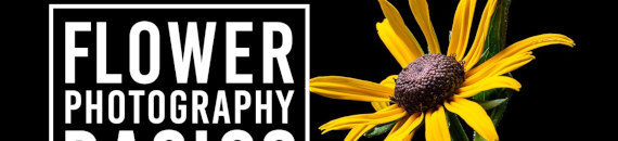 Flower Photography Basics