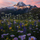 Interesting Photo of the Day: Floral Sunrise at Mt. Baker