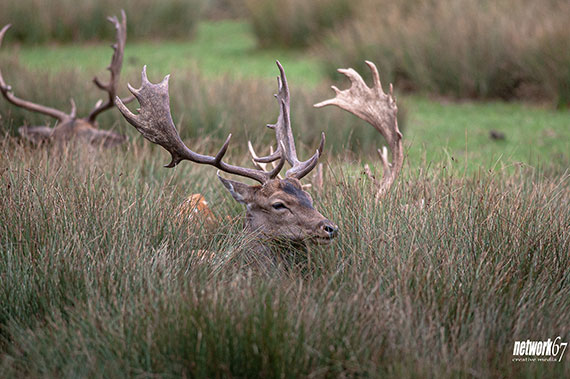 Animal park photo tips