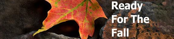 Autumn Leaves Macro Photography Tips