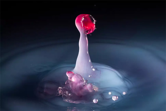 macro splash photo