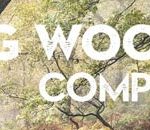 Woodland Photography: 7 Composition Tips