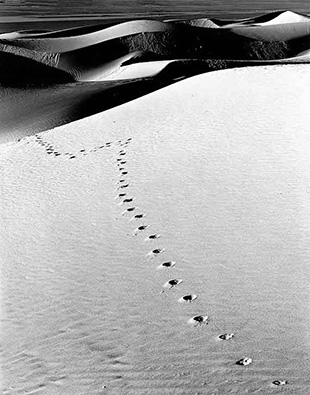 morocco sand dune photo