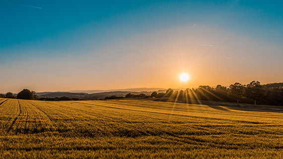 healthy life outlook photography