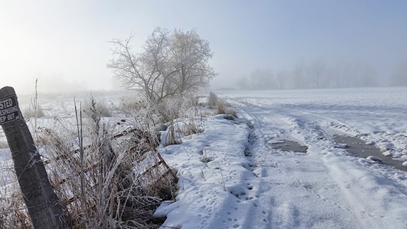 find beauty in winter photos