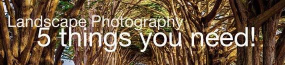 5 Things You Need for Landscape Photography