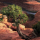 Interesting Photo of the Day: Dead Horse Point Overlook