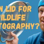 Low Angle Bird Photography Hack with a Bin Lid