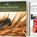 The Essential Guide to Macro Lighting