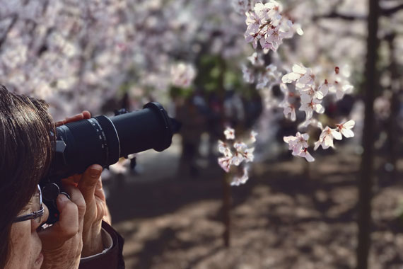 macro photographer