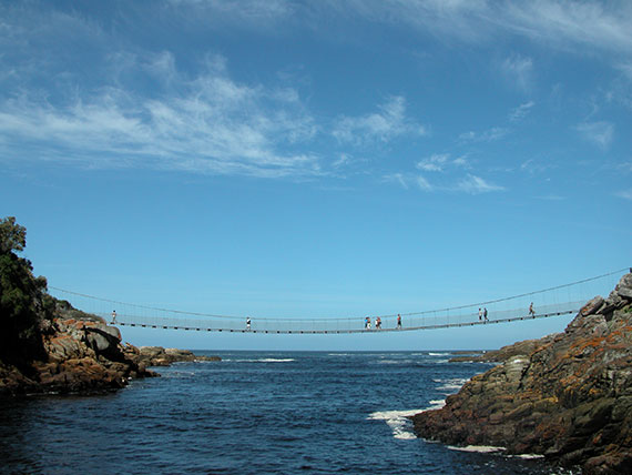 suspension bridge